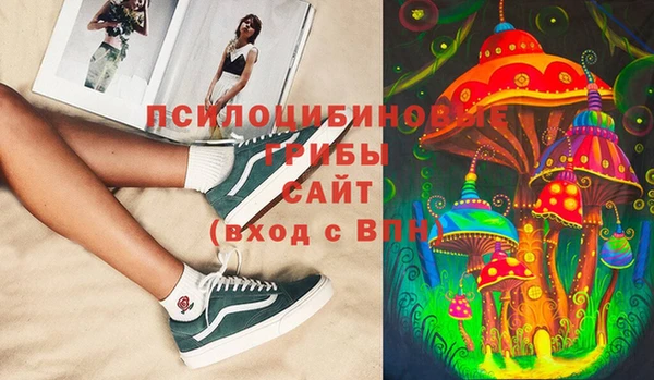дживик Богородск