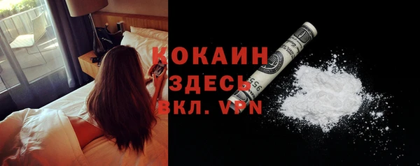 эйфоретик Богданович