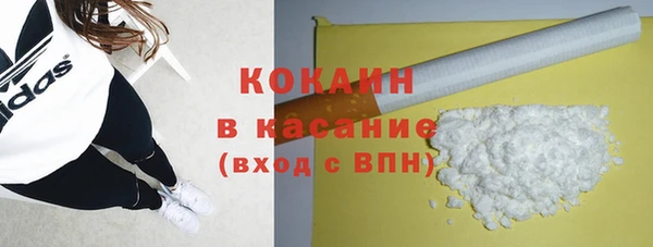 эйфоретик Богданович