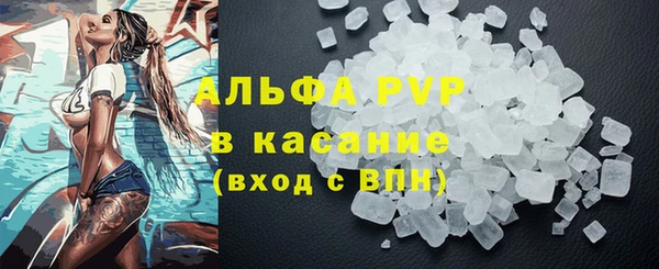 эйфоретик Богданович