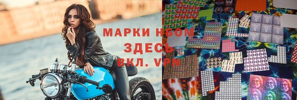 дживик Богородск