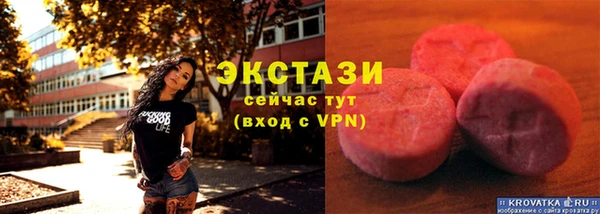 дживик Богородск