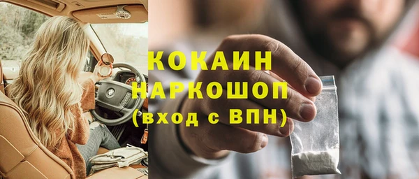 эйфоретик Богданович